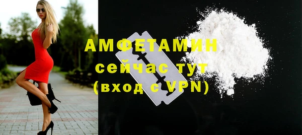 стаф Нея