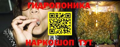 дмт Камышлов