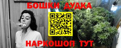 jwh Кинель