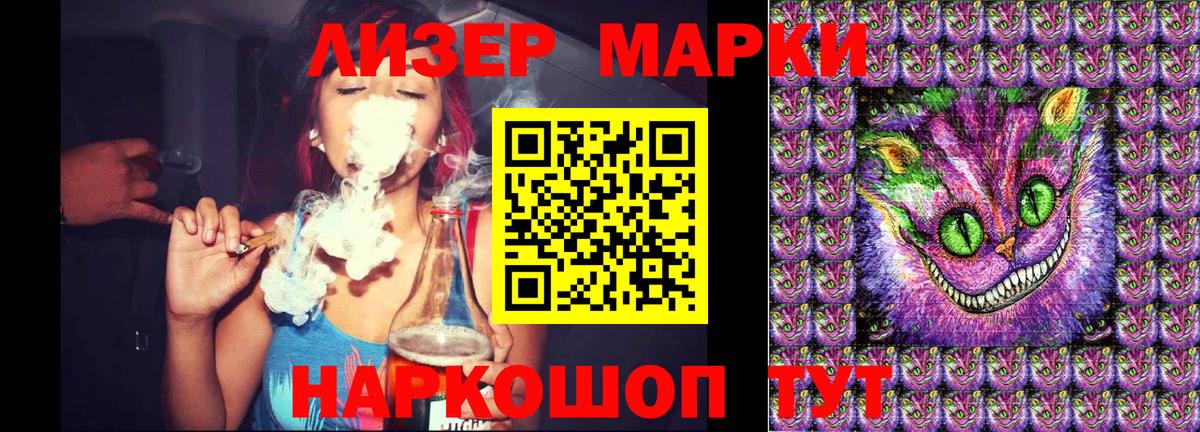 Новозыбков  где продают наркотики  Вход с VPN  Наркотические марки 1500мкг  Наркотические марки 1500мкг 