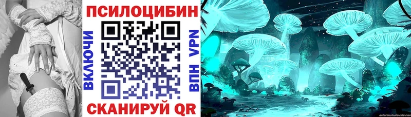 MEGA зеркало  Новозыбков  Псилоцибиновые грибы Psilocybine cubensis 