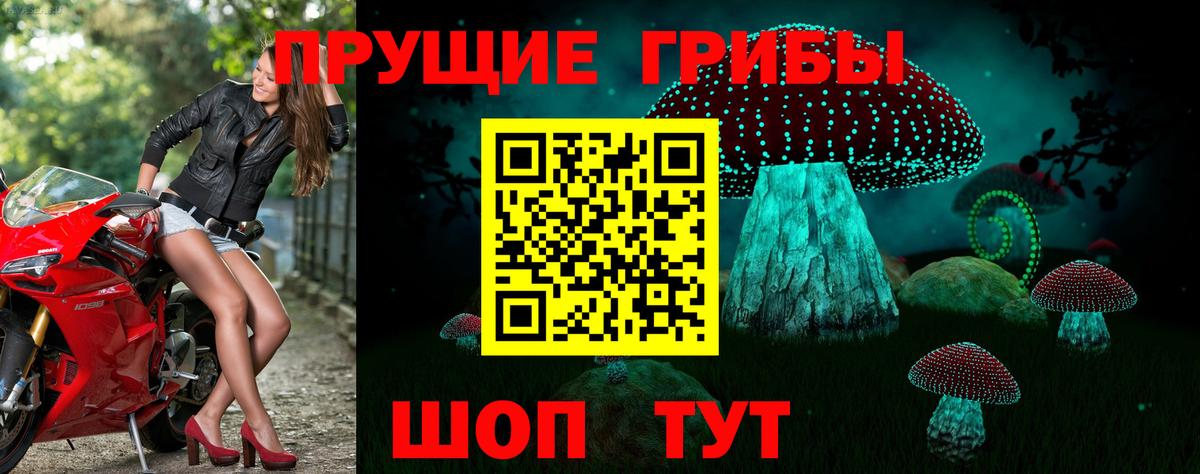 Галлюциногенные грибы Magic Shrooms Новозыбков