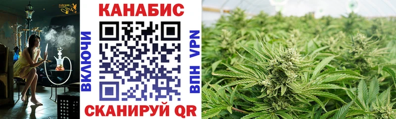 Конопля OG Kush Новозыбков